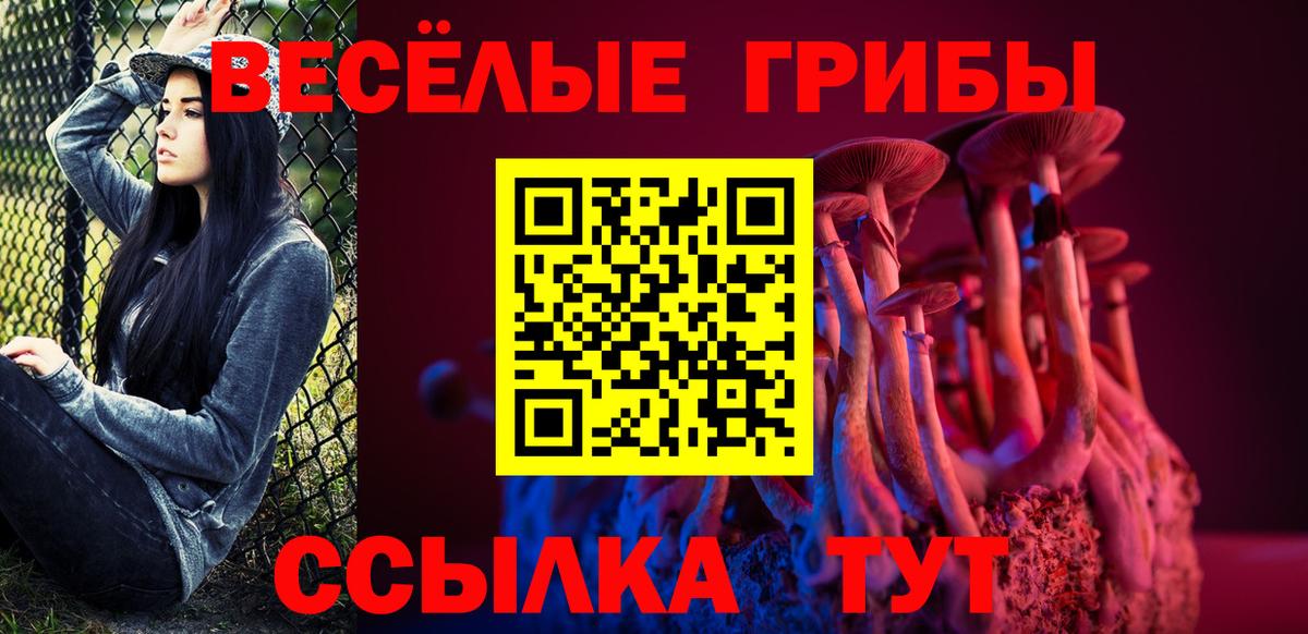 Псилоцибиновые грибы мухоморы  Псилоцибиновые грибы прущие грибы  Дмитров  Вход с VPN 