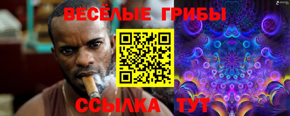 Галлюциногенные грибы Psilocybe Дмитров